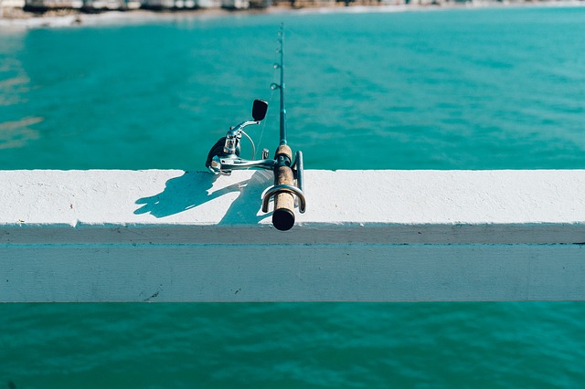 Les bienfaits de la pêche